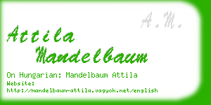attila mandelbaum business card